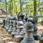 Lavande *